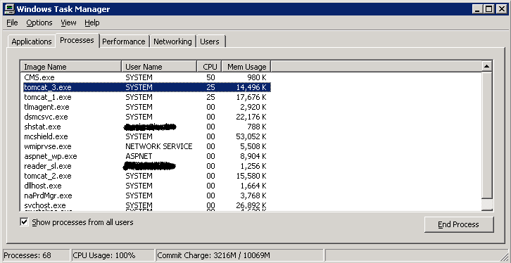 servidor 2003 de uso elevado de cpu de producto