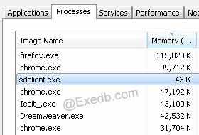 sdclient.exe 오류