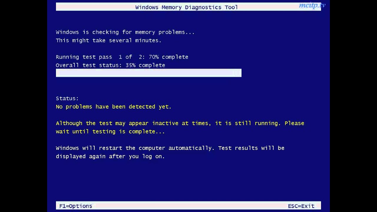 Windows 운영 체제 Vista에서 메모리 테스트