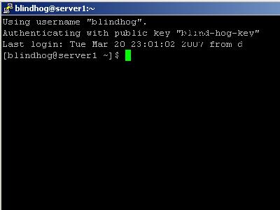 what is the equivalent related to ssh in windows